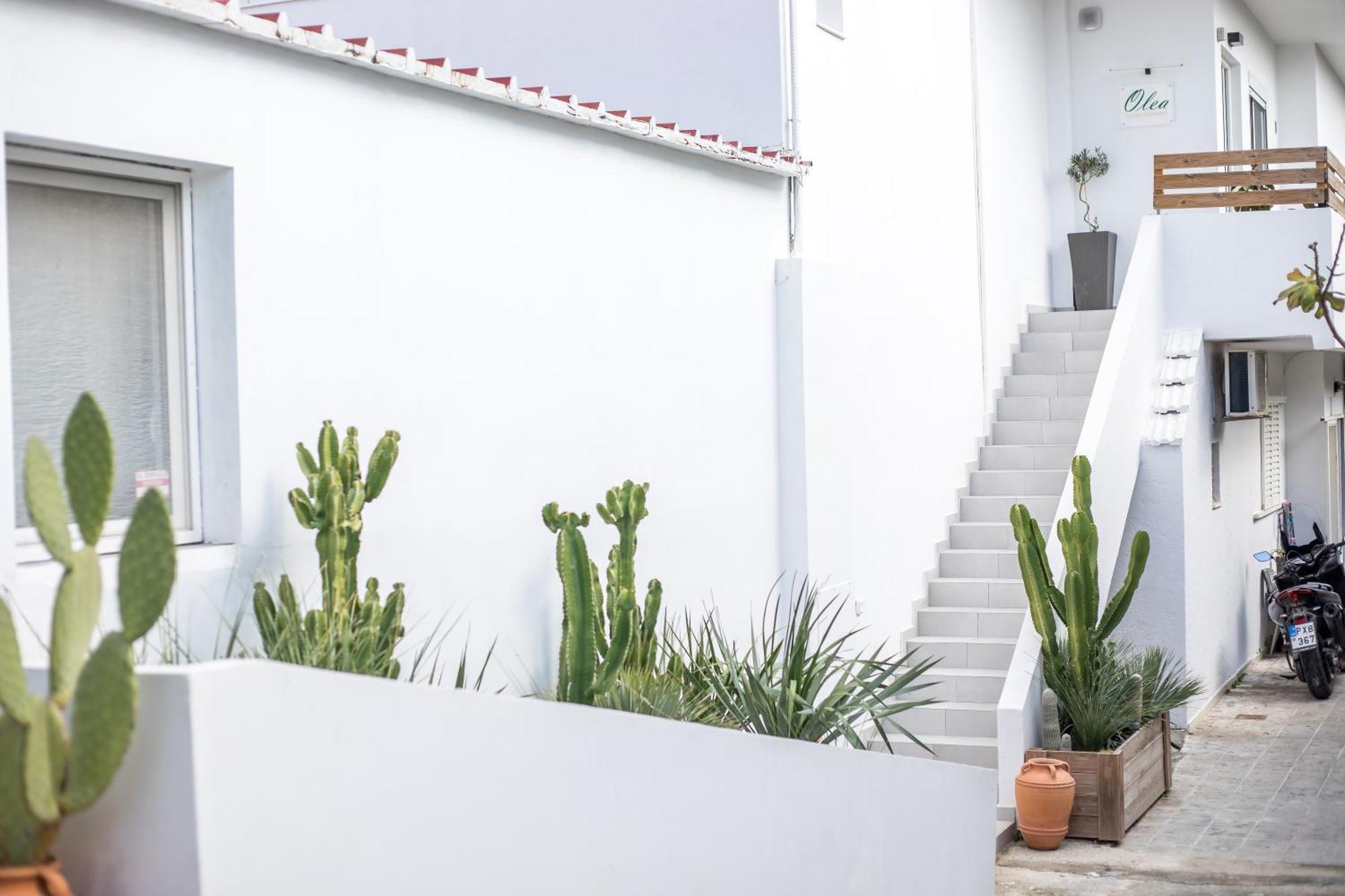 אפאנטו Olea Luxury Apartment מראה חיצוני תמונה